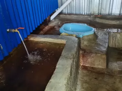 WhatsApp Image 2025-06-10 at 11